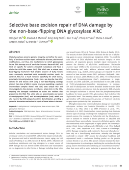 Selective Base Excision Repair of DNA Damage by the Non‐Base‐Flipping