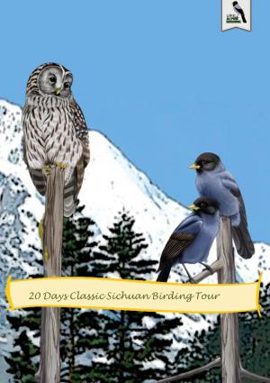 20 Days Classic Sichuan Birding Tour