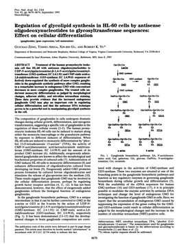 Regulation of Glycolipid Synthesis in HL-60 Cells by Antisense