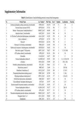 Supplementary Information