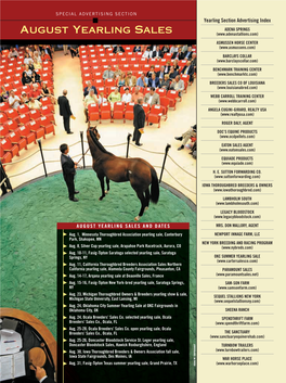 August Yearling Sales