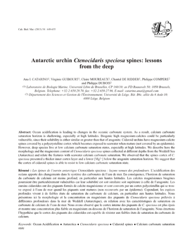 Antarctic Urchin Ctenocidaris Speciosa Spines: Lessons from the Deep