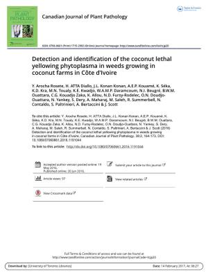 Detection and Identification of the Coconut Lethal Yellowing Phytoplasma in Weeds Growing in Coconut Farms in Côte D’Ivoire