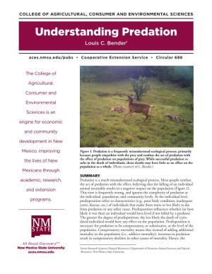Understanding Predation