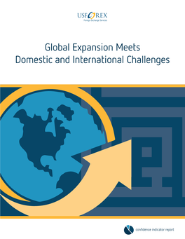 Global Expansion Meets Domestic and International Challenges