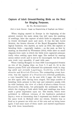 Capture of Adult Ground-Nesting Birds on the Nest for Ringing Purposes. by FH