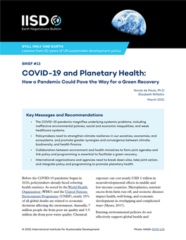 COVID-19 and Planetary Health: How a Pandemic Could Pave the Way for a Green Recovery
