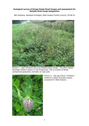 Ecological Survey of Knepp Estate Road Verges and Assessment for Notable Road Verge Designation