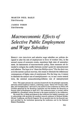 Macroeconomic Effects of Selective Public Employment and Wage