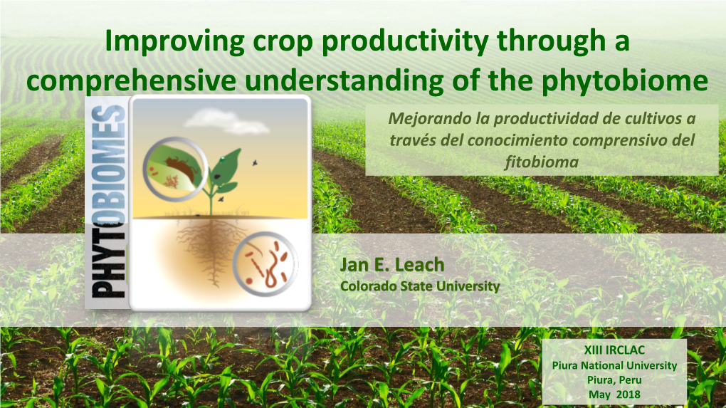 Improving Crop Productivity Through a Comprehensive Understanding Of