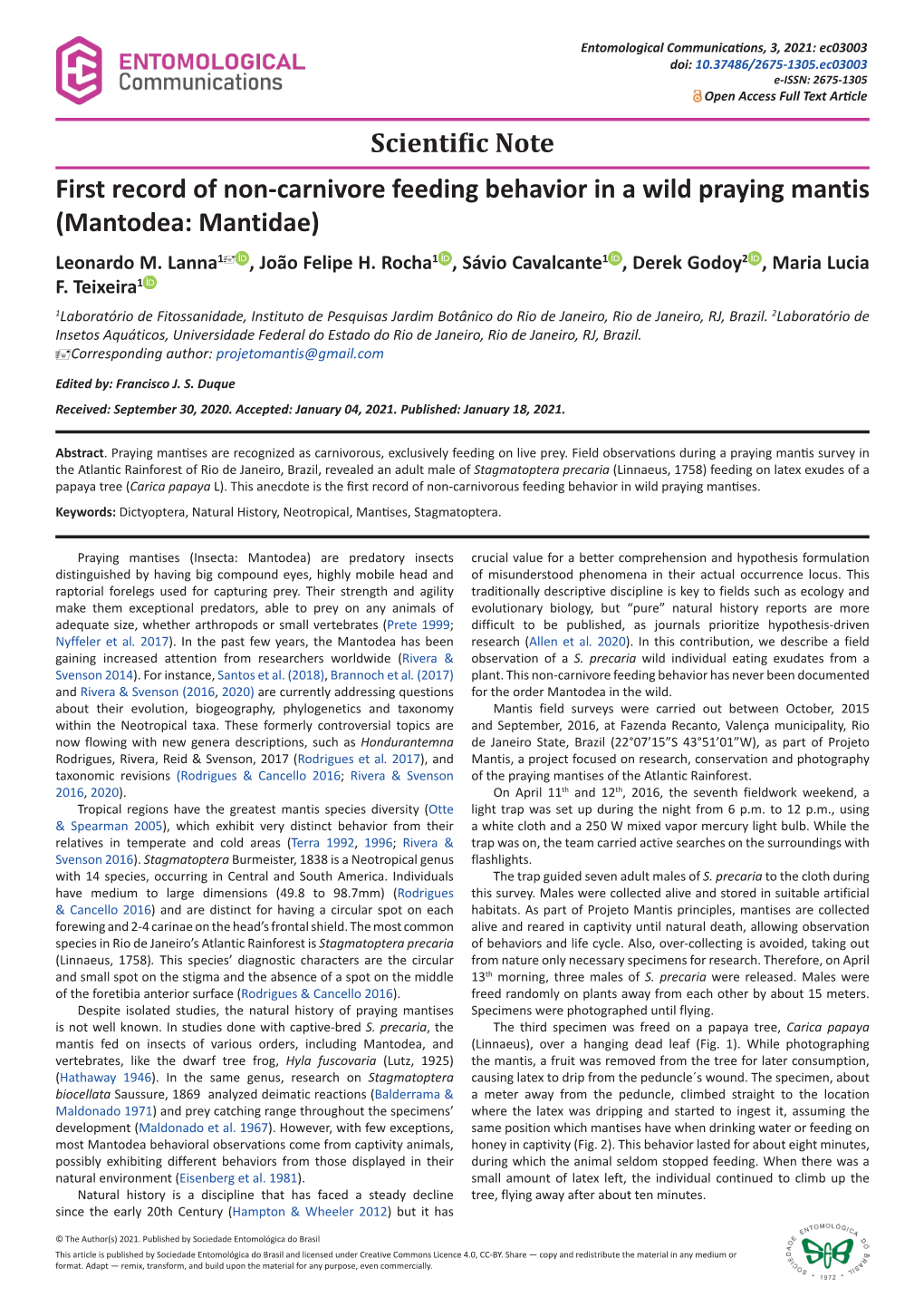 First Record of Non-Carnivore Feeding Behavior in a Wild Praying Mantis (Mantodea: Mantidae) Leonardo M