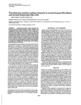 Tetrodotoxin-Sensitive Sodium Channels in Normal Human Fibroblasts and Normal Human Glia-Like Cells (Sodium Ionophore/Veratridine/Scorpion Toxin) ROBERT MUNSON, JR