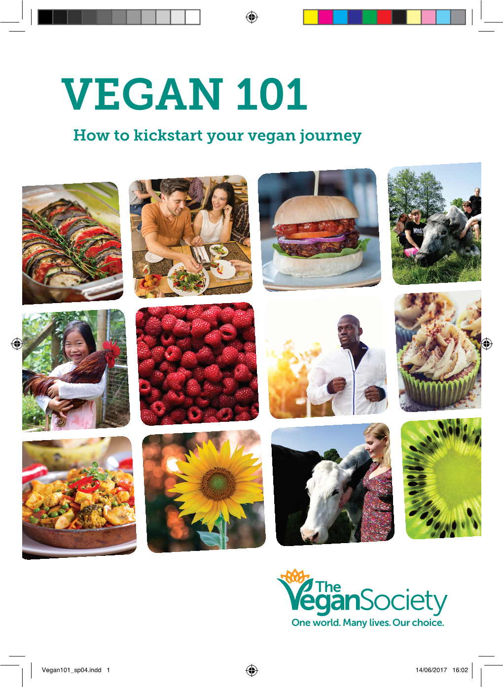 Vegan 101 for Print