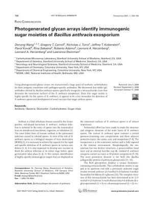 Photogenerated Glycan Arrays Identify Immunogenic Sugar Moieties of Bacillus Anthracis Exosporium