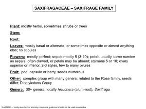 Saxifragaceae – Saxifrage Family