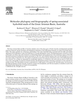 Molecular Phylogeny and Biogeography of Spring-Associated Hydrobiid Snails of the Great Artesian Basin, Australia