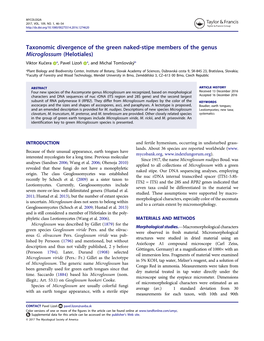 Taxonomic Divergence of the Green Naked-Stipe Members of the Genus