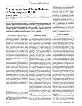 Micropropagation of Texas Madrone, Arbutus Xalapensis H.B.K