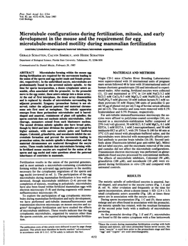 Microtubule Configurations During Fertilization, Mitosis, and Early Development in the Mouse and the Requirement for Egg Microtu