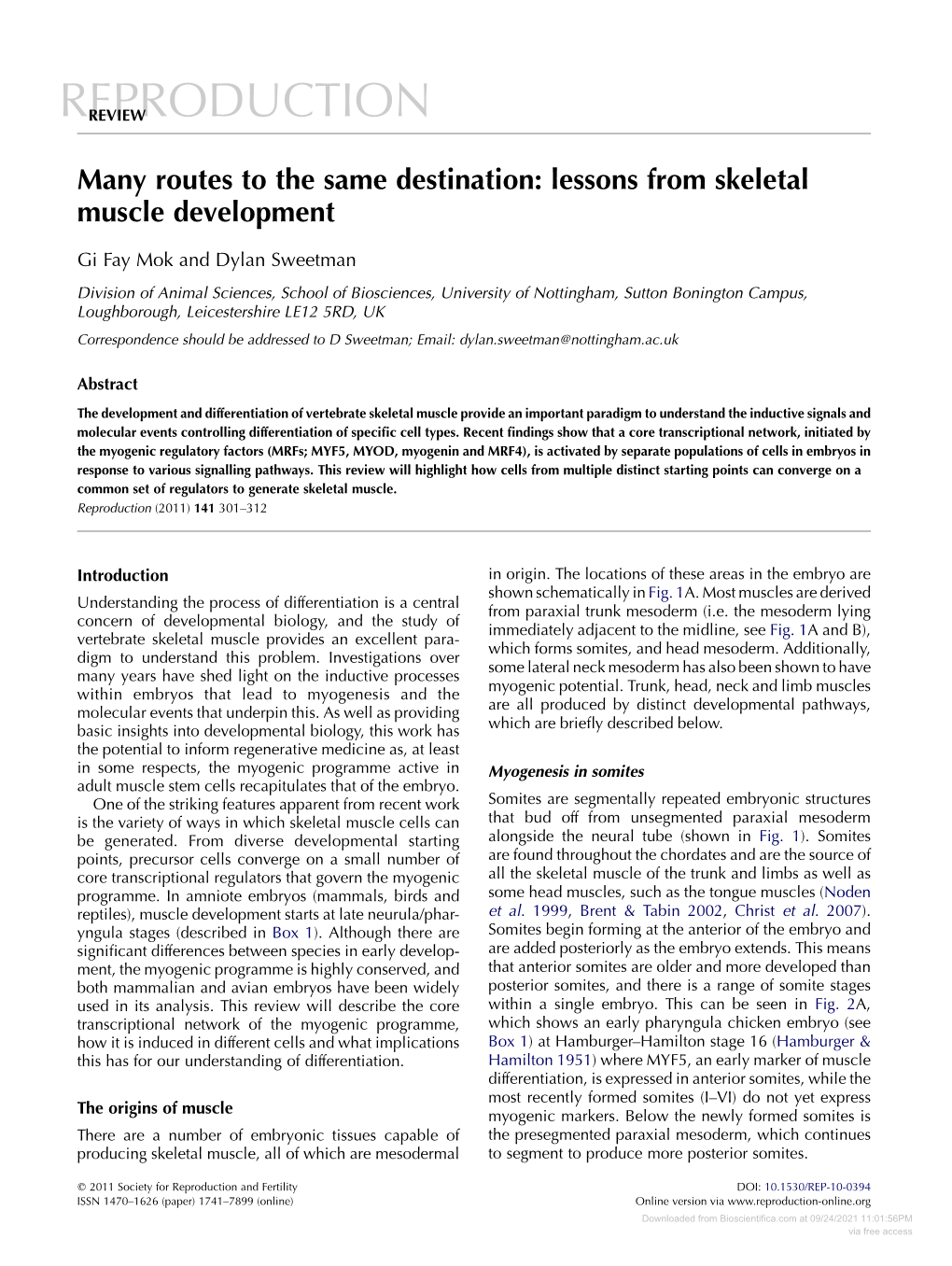 Lessons from Skeletal Muscle Development