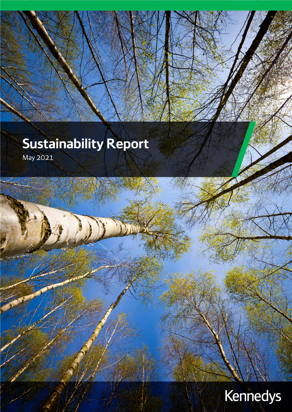 Sustainability Report May 2021 Foreword