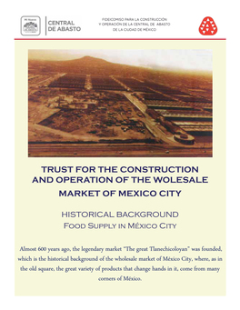 Trust for the Construction and Operation of the Wolesale Market of Mexico City