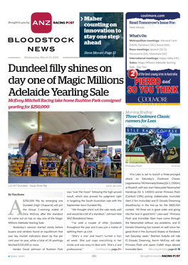 Dundeel Filly Shines on Day One of Magic Millions Adelaide Yearling Sale | 2 | Wednesday, March 13, 2019