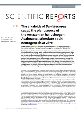 The Alkaloids of Banisteriopsis Caapi, the Plant Source of the Amazonian