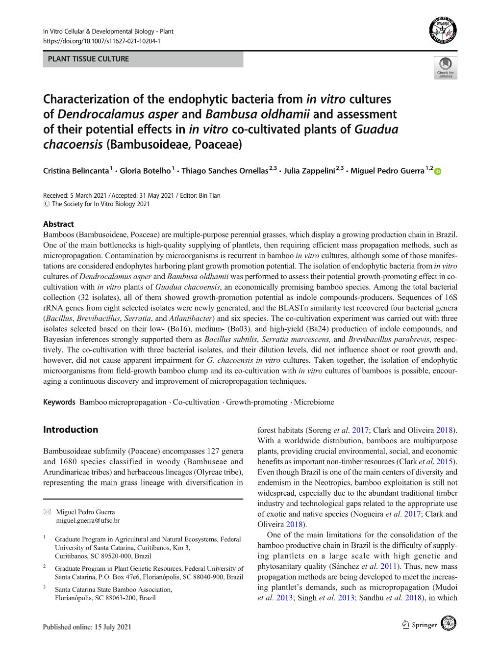 Characterization of the Endophytic Bacteria from in Vitro Cultures Of