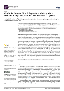 Why Is the Invasive Plant Sphagneticola Trilobata More Resistant to High Temperature Than Its Native Congener?