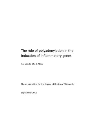 The Role of Polyadenylation in the Induction of Inflammatory Genes