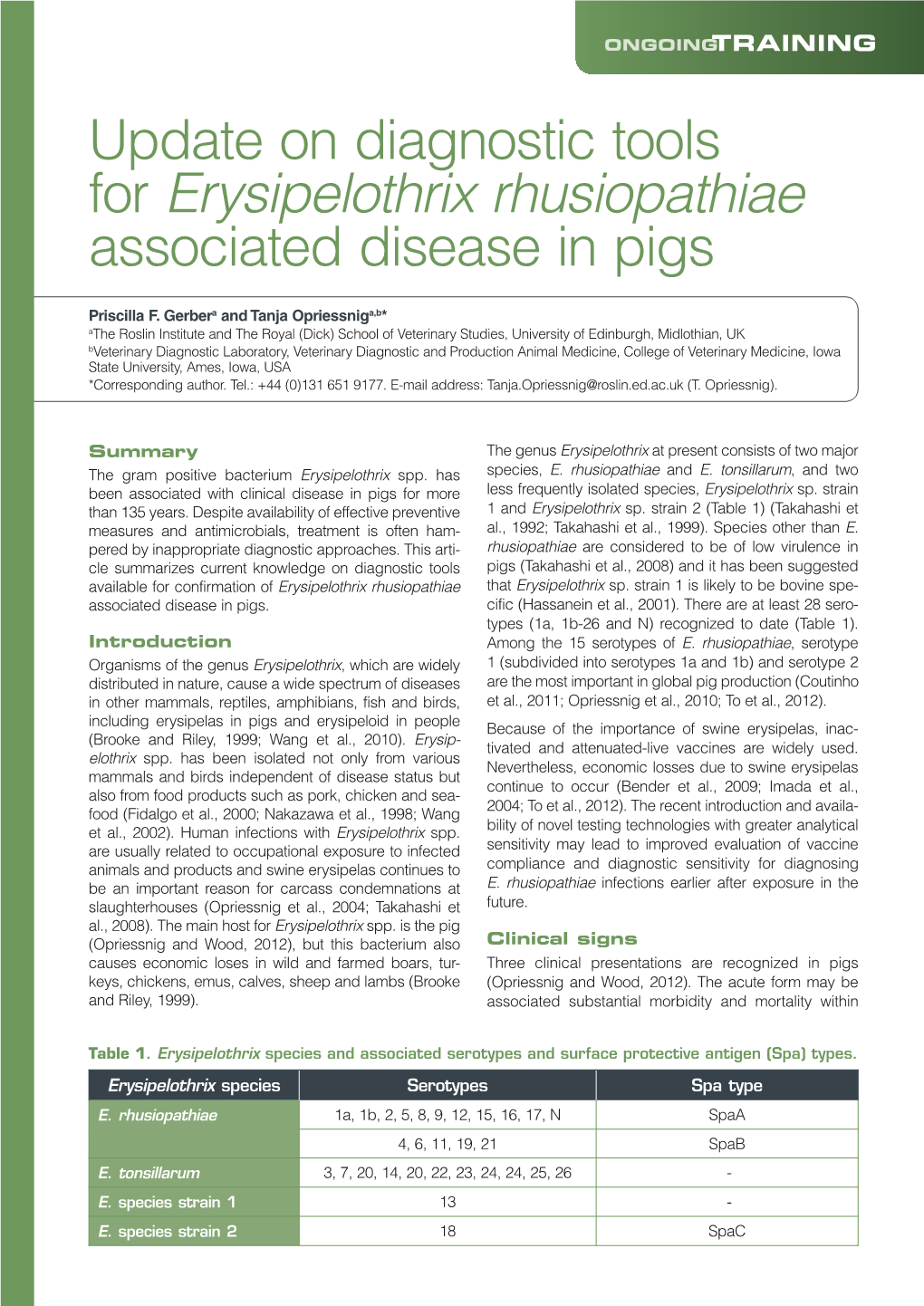 Update on Diagnostic Tools for Erysipelothrix Rhusiopathiae Associated Disease in Pigs