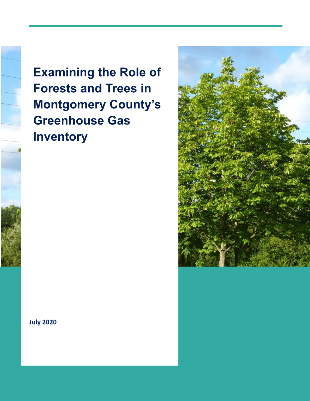 Examining the Role of Forests and Trees in Montgomery County's