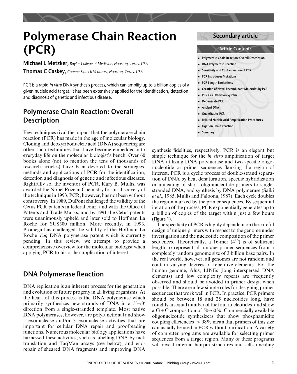 Polymerase Chain Reaction (PCR)