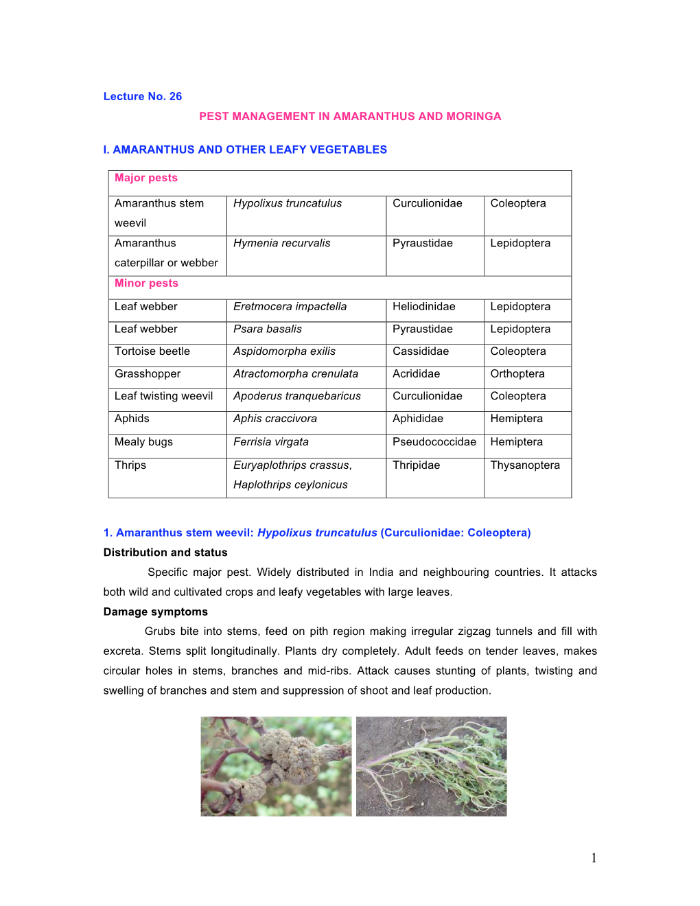 Lecture No. 26 PEST MANAGEMENT in AMARANTHUS and MORINGA I