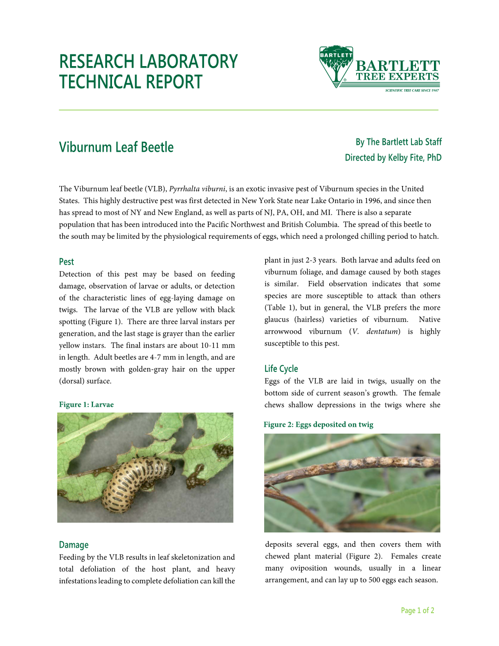 Viburnum Leaf Beetle by the Bartlett Lab Staff Directed by Kelby Fite, Phd