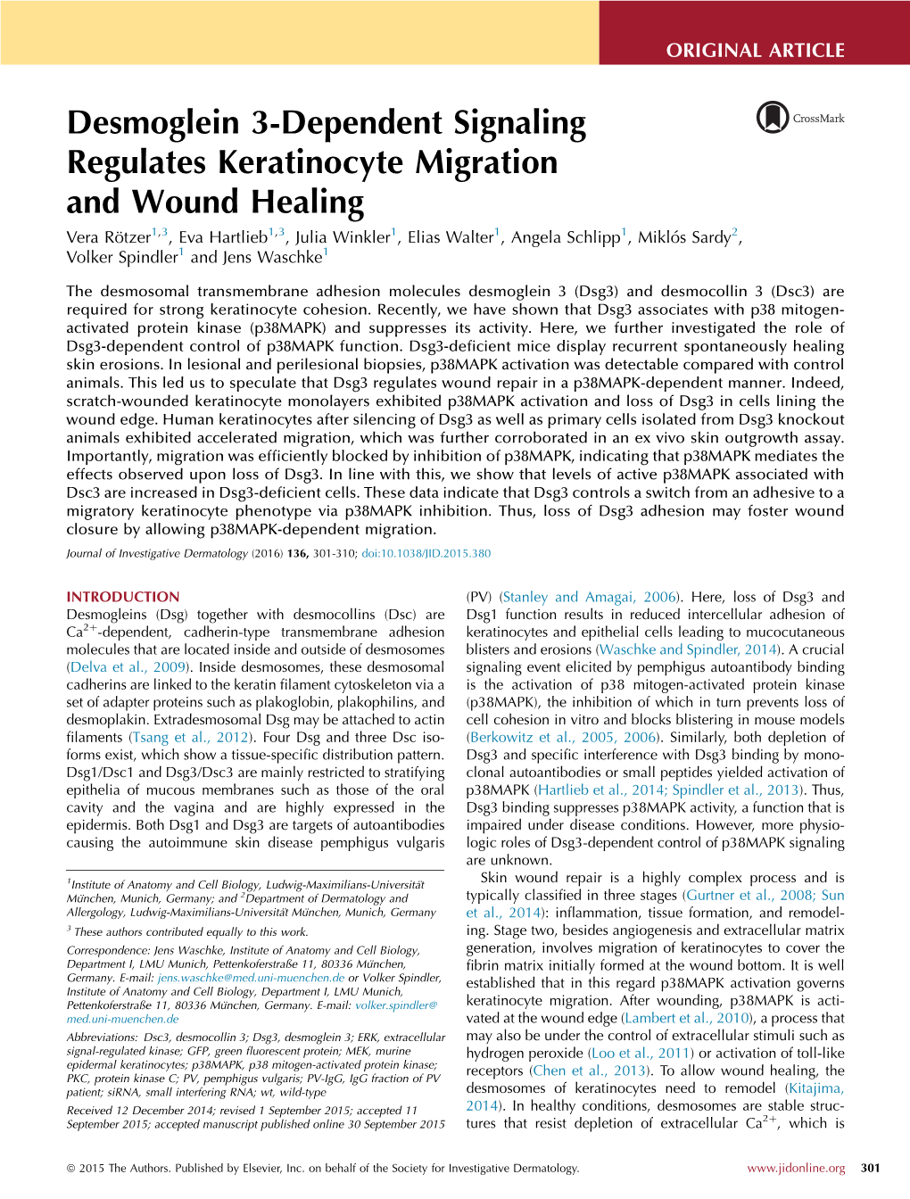 Desmoglein 3-Dependent Signaling Regulates Keratinocyte Migration And&Nbsp;Wound Healing