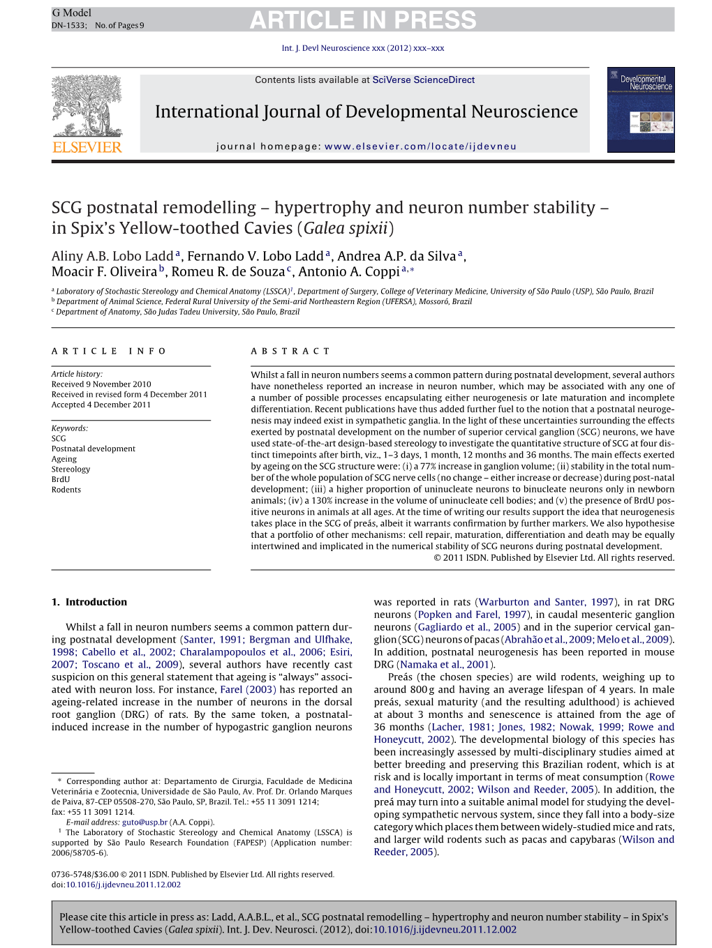 SCG Postnatal Remodelling – Hypertrophy and Neuron Number Stability –