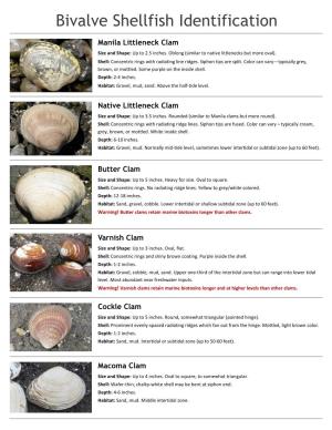 Bivalve Shellfish Identification Handout