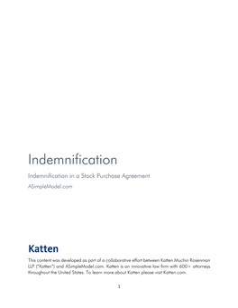 Indemnification Indemnification in a Stock Purchase Agreement Asimplemodel.Com