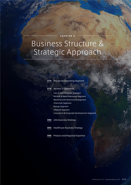Business Structure & Strategic Approach