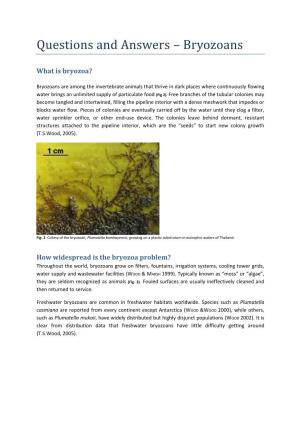 Questions and Answers – Bryozoans