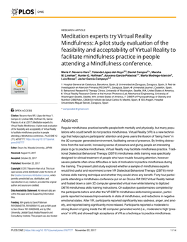 Meditation Experts Try Virtual Reality Mindfulness: a Pilot Study