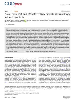 Puma, Noxa, P53, and P63 Differentially Mediate Stress Pathway Induced Apoptosis
