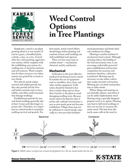 L848 Weed Control Options in Tree Plantings