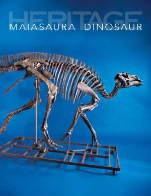 MAIASAURA DINOSAUR a Member of the Hadrosauridae Family, the Maiasaura Peeblesorum Is a Classic North American Herbivorous Dinosaur with a “Duck-Billed” Head