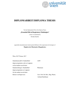 Diplomarbeit/Diploma Thesis