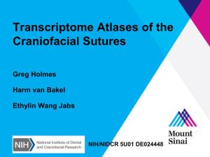 Transcriptome Atlases of the Craniofacial Sutures