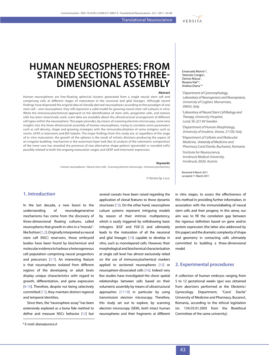 Human Neurospheres: from Stained Sections to Three