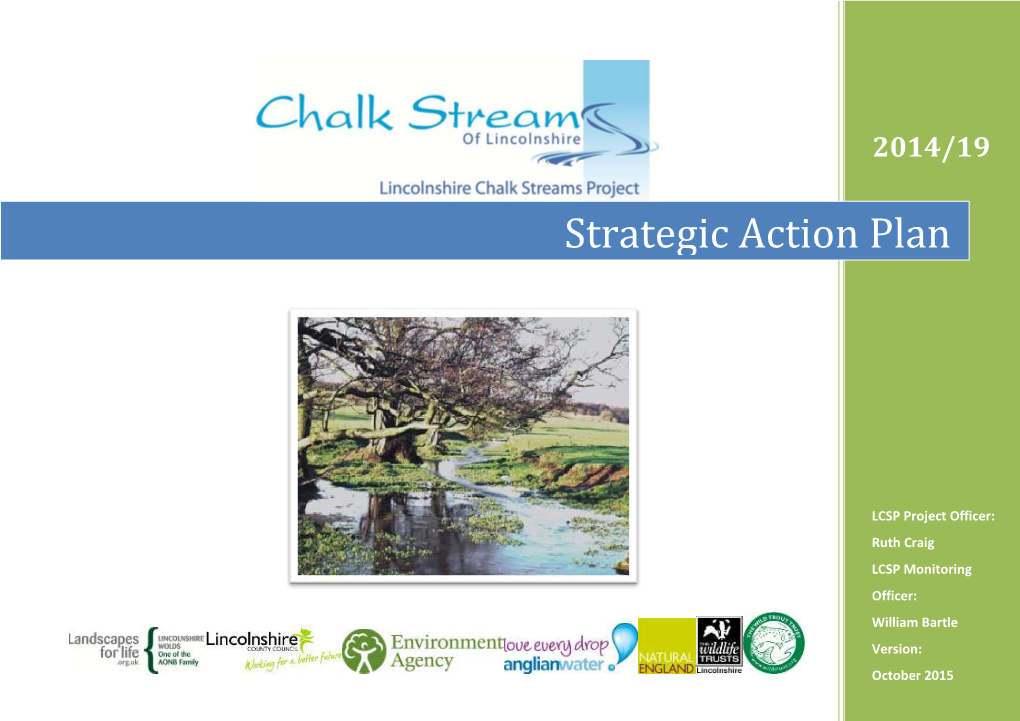 Strategic Action Plan